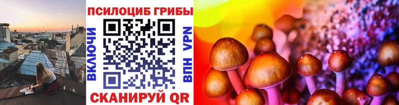 наркошоп  Усть-Кут  Псилоцибиновые грибы Cubensis 